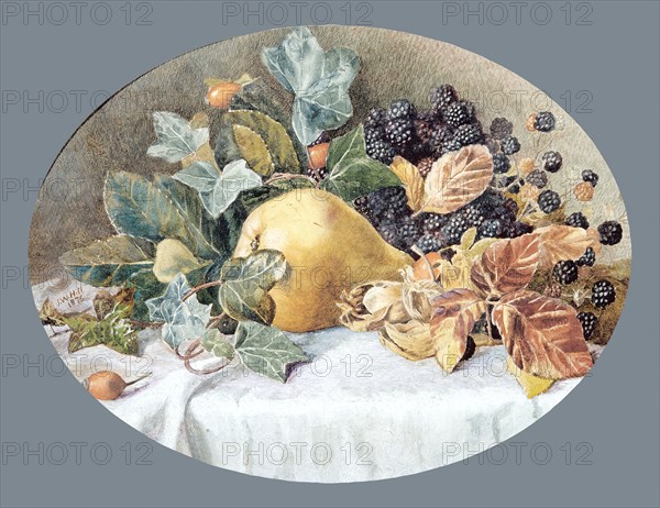 Still Life with Fruit, 1876. Creator: John William Hill.