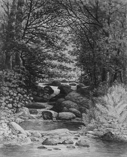 A Forest Cascade at Hiram, Maine, 1859. Creator: Henry Hitchings.