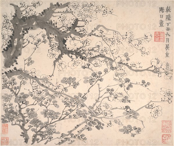 Plum Blossoms, dated 1757. Creator: Jin Nong.