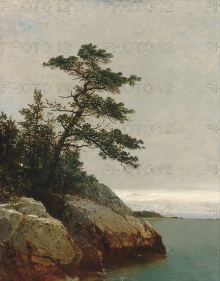 The Old Pine, Darien, Connecticut, 1872. Creator: John Frederick Kensett.