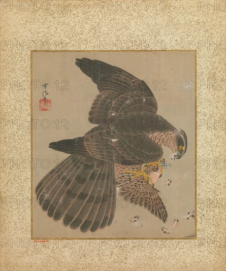 Album of Hawks and Calligraphy, 17th-18th century. Creator: Kanô Yôboku Tsunenobu.