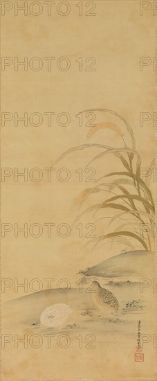 Quail and Millet, late 17th century. Creator: Kiyohara Yukinobu.