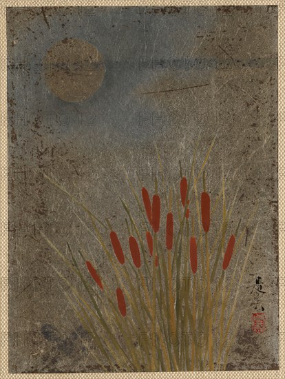 Cat Tails and Moon. Creator: Shibata Zeshin.