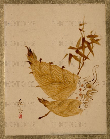 Bamboo Shoots, ca. 1880s. Creator: Shibata Zeshin.