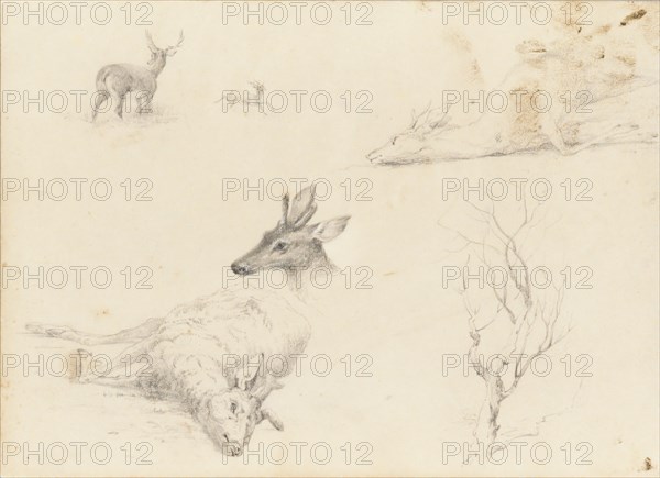 Sketchbook of Landscape and Animal Subjects, 1860-64. Creator: Thomas Hewes Hinckley.