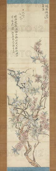 Red and White Peach Blossoms, Preparatory Sketch, 1843. Creator: Tsubaki Chinzan.