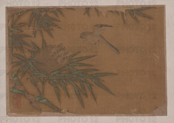 Seven Birds in Bamboo Tree Nest. Creator: Unknown.