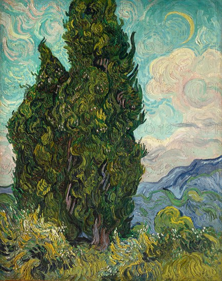 Cypresses, 1889. Creator: Vincent van Gogh.