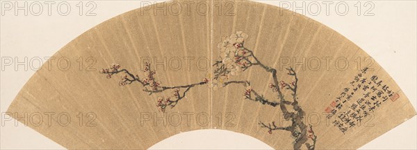 Plum Blossoms, dated 1670. Creator: Wen Zhi.