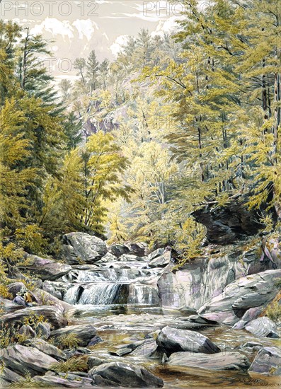 Catskill Clove, 1856. Creator: William Rickarby Miller.