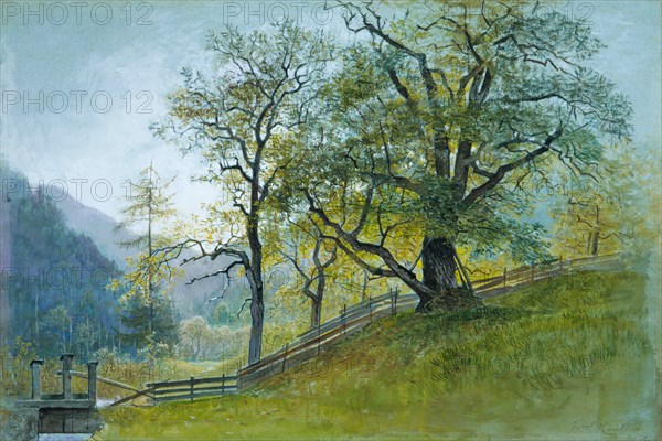 Vahrn in Tyrol near Brixen. Creator: William Stanley Haseltine.