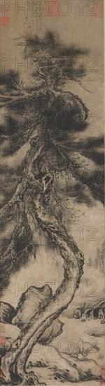 Dragon Pine, late 14th-early 15th century. Creator: Wu Boli.