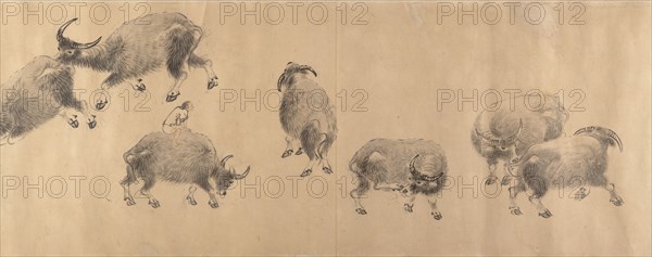 Water Buffaloes, dated 1639. Creator: Zhang Hong.