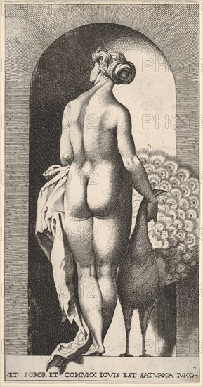 Plate 4: Juno standing in a niche, viewed from behind, stroking a peacock to her right, fr..., 1526. Creator: Giovanni Jacopo Caraglio.