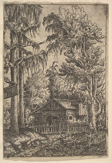 Cabin Among Trees, 1551. Creator: Hans Sebald Lautensack.