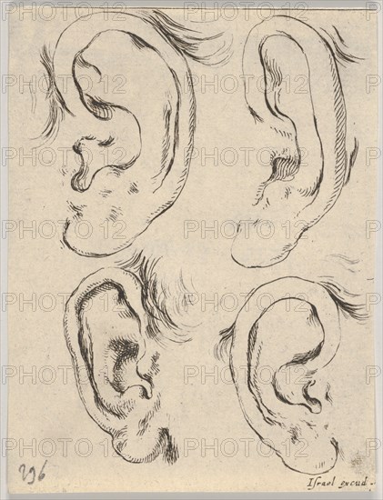 Plate 5: four ears, from 'The Book for Learning to Draw'