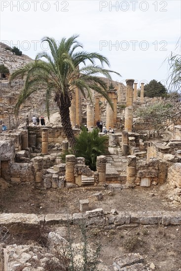 Libya, Cyrene, Sanctuary of Apollo, 2007. Creator: Ethel Davies.