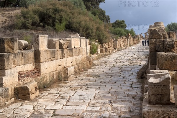 Libya, Leptis Magna, ancient street through the town, 2007. Creator: Ethel Davies.