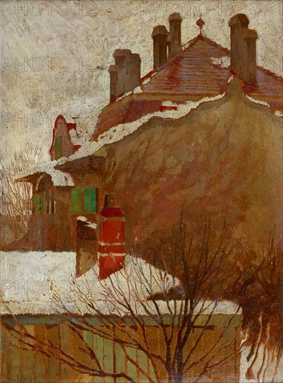 Houses in winter