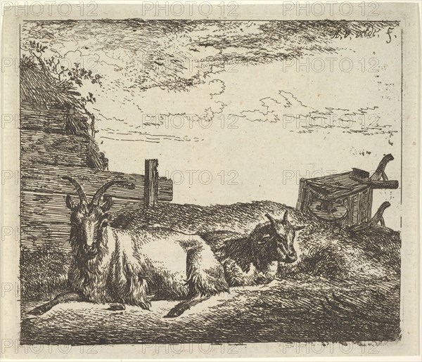 Recumbent Goats, from Different Animals. Creator: Adriaen van de Velde.