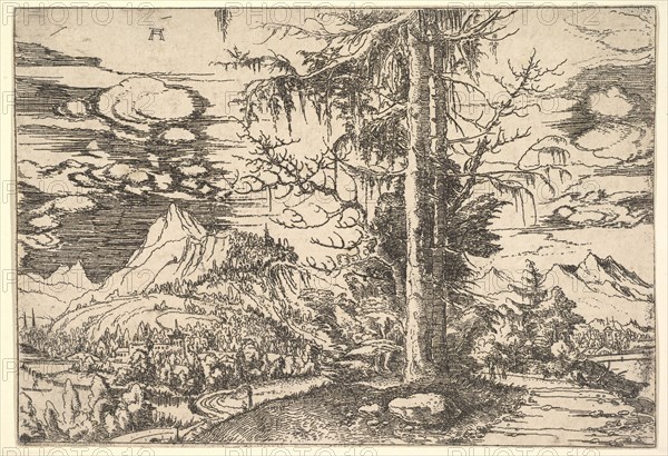 Landscape with a Double Spruce, ca. 1521-22. Creator: Albrecht Altdorfer.