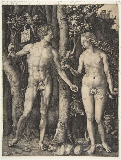 Adam and Eve, 1504. Creator: Albrecht Durer.