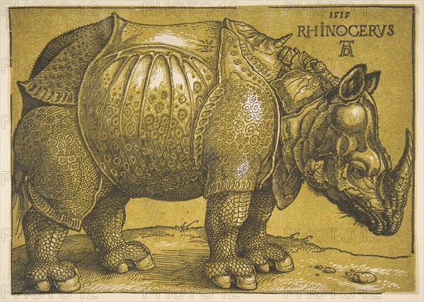 The Rhinoceros, after 1620. Creator: Albrecht Durer.