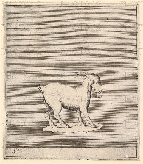 Ram, published ca. 1599-1622. Creator: Unknown.