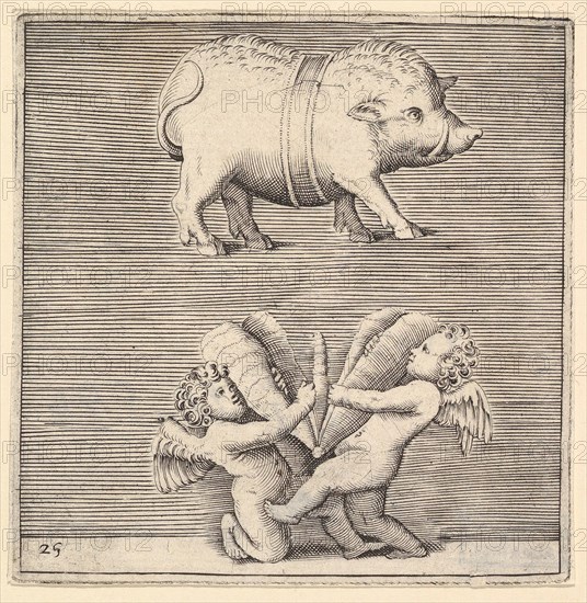 A Belted Pig and Two Cupids