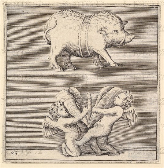 A Belted Pig and Two Cupids