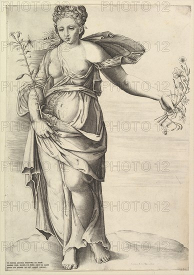 Flora, ca. 1560-70.  Creator: Unknown.
