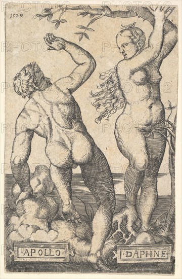 Apollo and Daphne