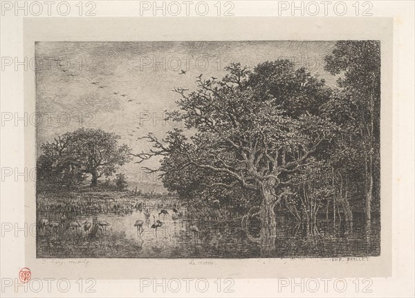 The Marshes, 1851. Creator: Charles Francois Daubigny.
