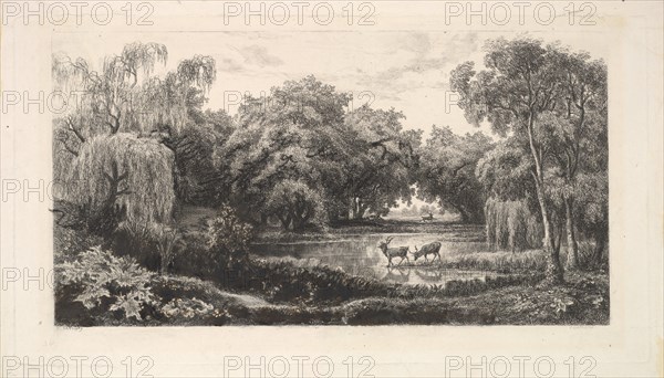 The Deer Pond, 1837-78. Creator: Charles Francois Daubigny.