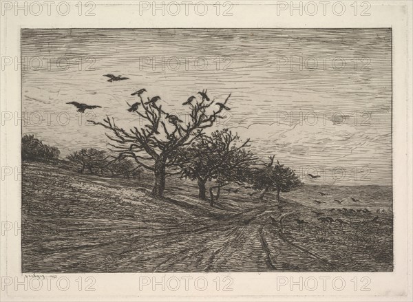 Tree Filled with Crows, 1867. Creator: Charles Francois Daubigny.