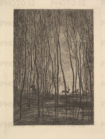 Deer in the Woods, 1850. Creator: Charles Francois Daubigny.