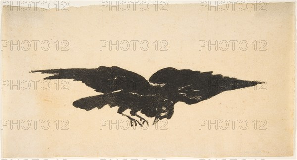 The Flying Raven, Ex Libris for The Raven by Edgar Allan Poe, 1875. Creator: Edouard Manet.