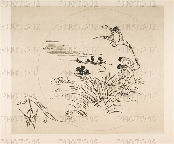 Decoration for a Plate: A Pond, 1870. Creator: Felix Bracquemond.