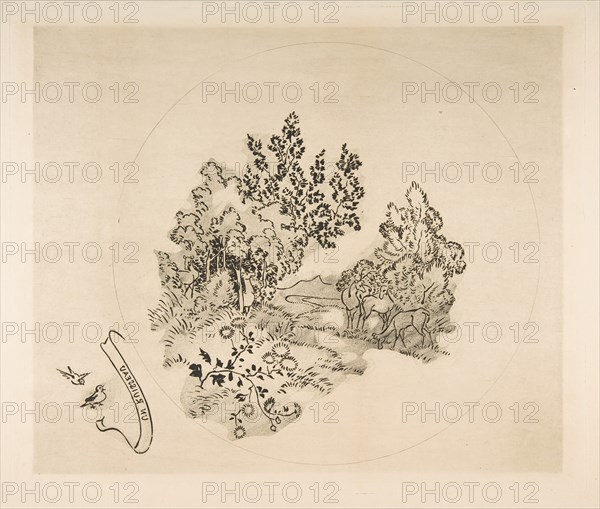 Decoration for a Plate: A Stream, 1870. Creator: Felix Bracquemond.