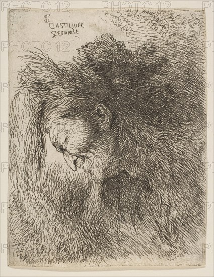 Head of an old man looking down, facing Left, from the series of 'Small Heads in ..., ca. 1645-1650. Creator: Giovanni Benedetto Castiglione.