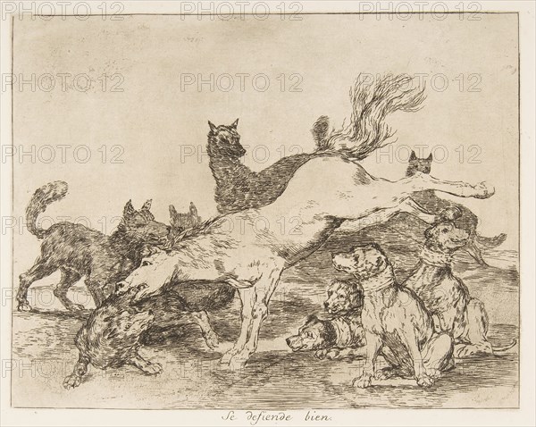 Plate 78 from 'The Disasters of War'