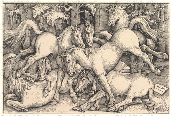 Group of Seven Horses, 1534. Creator: Hans Baldung.