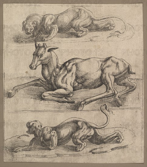 A Doe and Two Lionesses, ca. 1540. Creator: Attributed to Jan Cornelisz Vermeyen