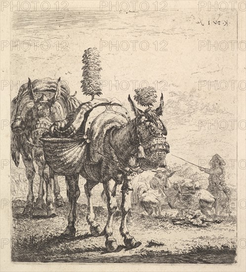 Two mules bearing panniers and outfitted with blinders, plumes, and tassels; one mu..., ca. 1641-78. Creator: Karel Du Jardin.