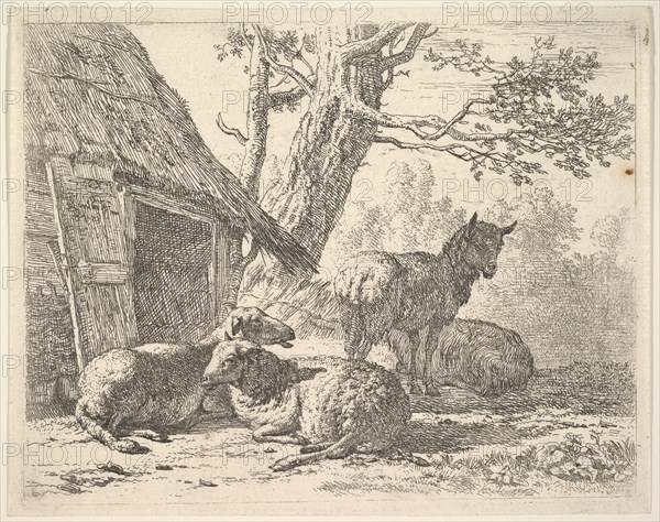 Four sheep, one sheep stands among three others lying on the ground next to a shed with th..., 1658. Creator: Karel Du Jardin.