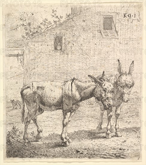 Two donkeys standing in a grassy yard, one in profile view facing right and another behind..., 1652. Creator: Karel Du Jardin.