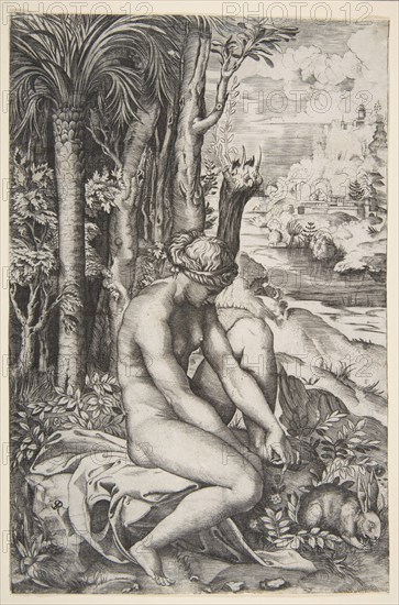Venus removing a thorn from her left foot while seated on a cloth next to trees, a ..., ca. 1515-27. Creator: Marco Dente.