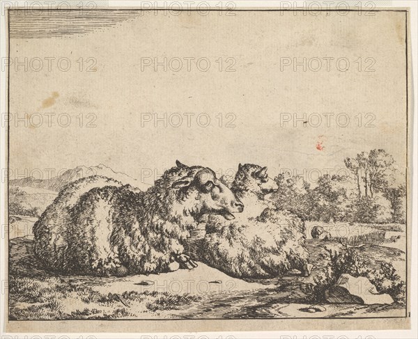 Sheep, from a set of 16 plates, 1664. Creator: Marcus de Bye.