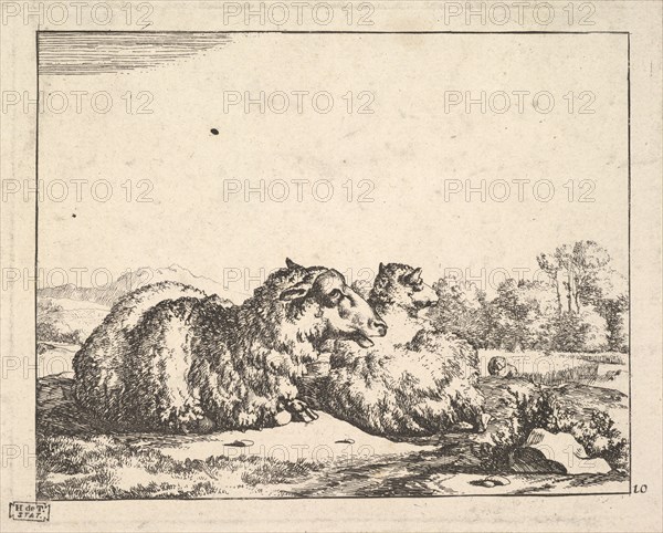 Sheep, from a set of 16 plates, 1664. Creator: Marcus de Bye.