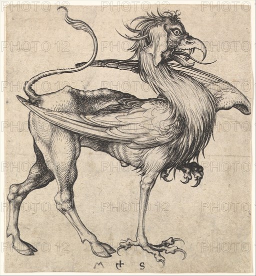 Griffin, ca. 1435-1491. Creator: Martin Schongauer.